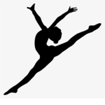 GYMNASTS FOR LIFE
