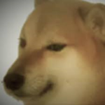 DOG ARMYYY
