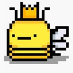 Dojo do Bee
