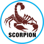 Scorpion Survivors