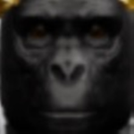 GAMR [Grand Army of The Monke Republic]
