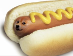 HotdogeEMPIRE