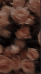 Social._reject_