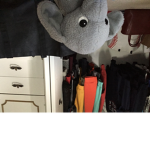 Baby elephants for life