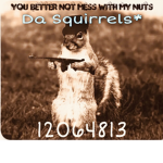 Da Squirrels*