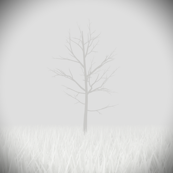 Snowy Field