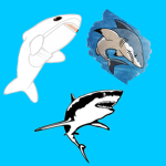 SharkzGang