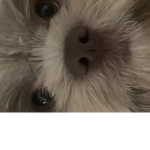 HI! I give robux