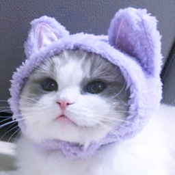 ♡