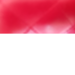 레드 부대