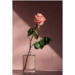 cherrygal48’s group