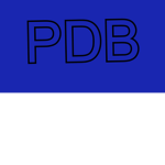 #pbd-city-boyz