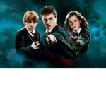 Harry Potter Fan Club >:)
