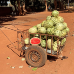 MelonCart