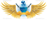 The Falcon Hawks Empire