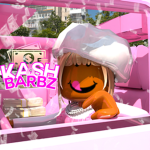 ķash barbz