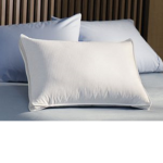 Pillowfied Studios