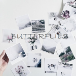 butterfIies