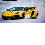 OP Beast's