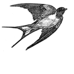 Sparrows®