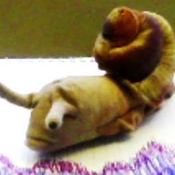 Zenai club