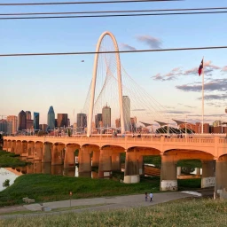 Dallas icon