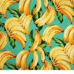 beautiful bannanas