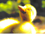 Epic gamers bro