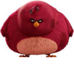 DA BIGGEST BIRDS FOREVER