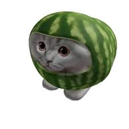 Nine Lives Development Roblox group icon