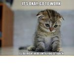 join if you are against animal abuse