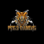 POG'S CLOTHING