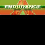 Endurance 3