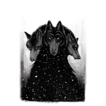 midnight forest wolves