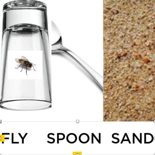 Fly, spoon, sand