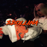 $DOLLINA