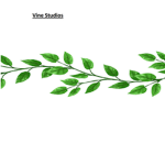 Real Vine Studios