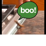 Lia’s closetx