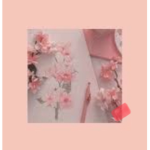 Aesthetic kitty’s 101