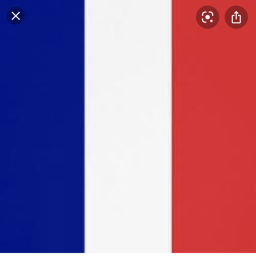 French Army