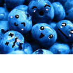 •Blueberrys•