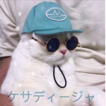 ケサディージャ