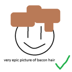 bacon_hairs united!