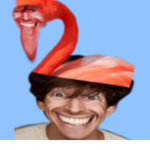 The FIamlngo FAn club!