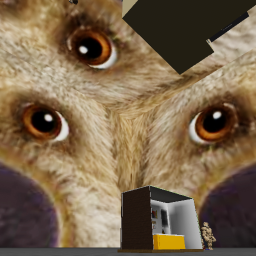 BEN