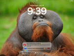 You. Hi kid