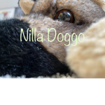 Nilla's Productions