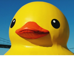 Duck Army Studio