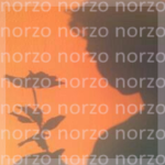 norzo