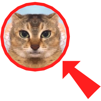 [ILLUSION] Cat Meme - Mei Mei